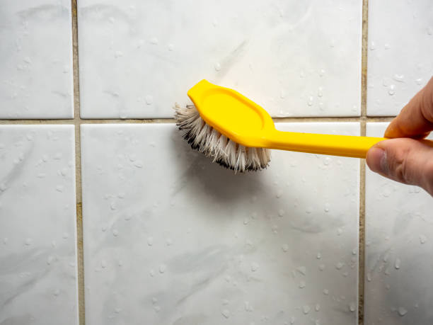 Best Emergency Mold Remediation in West Jefferson, NC